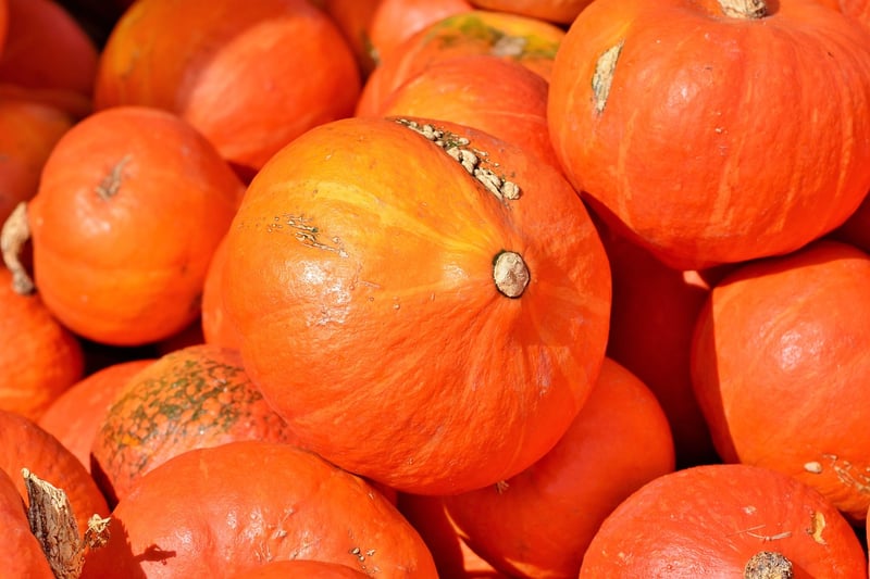 Fall Crops